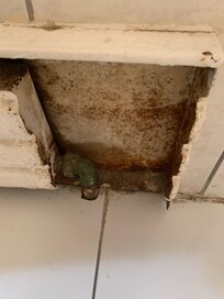 Rust and dirt to look at sitting on the toilet . As well as other places were there were heaters .