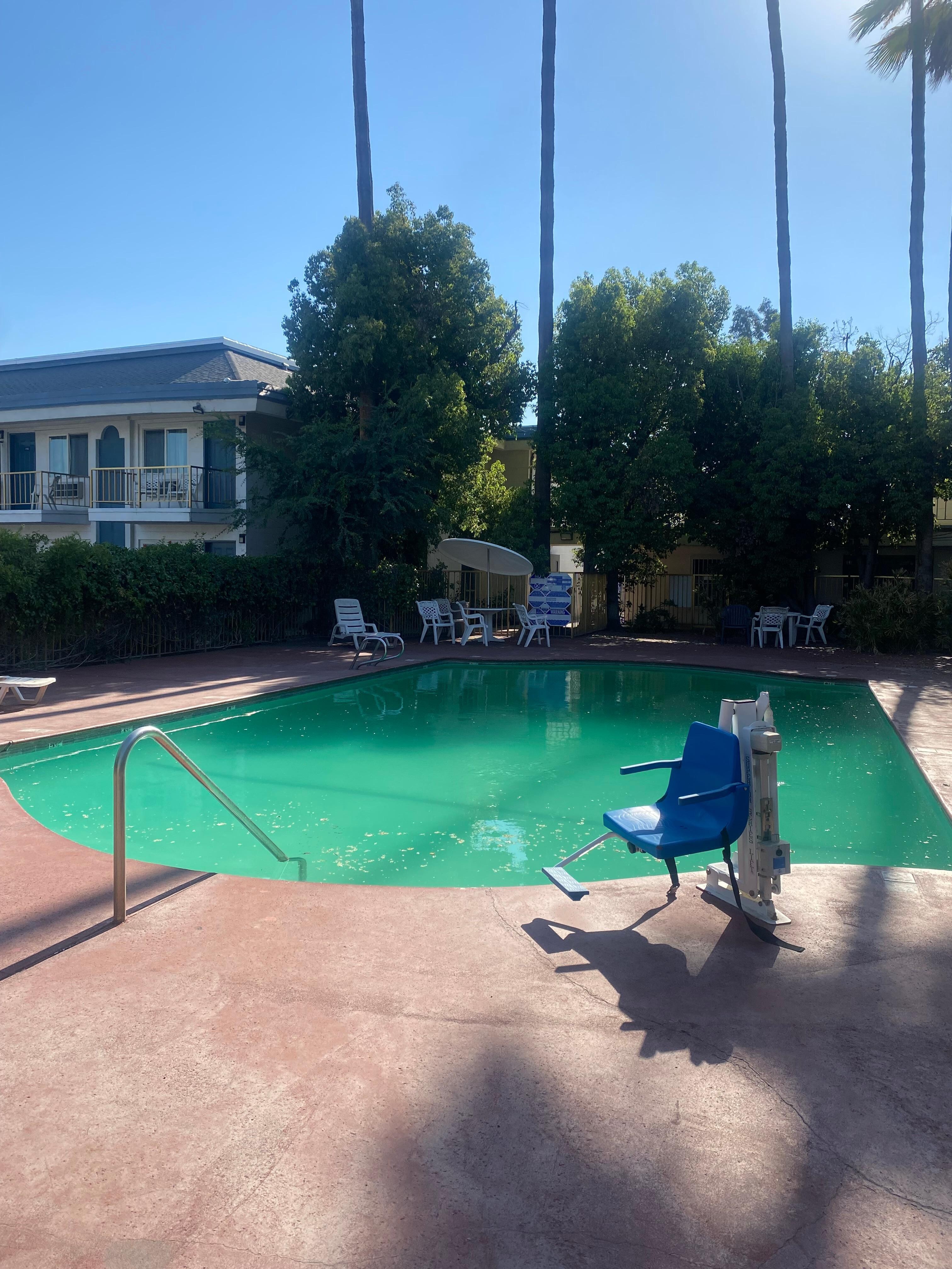 Green Water. Broken pool furniture. 