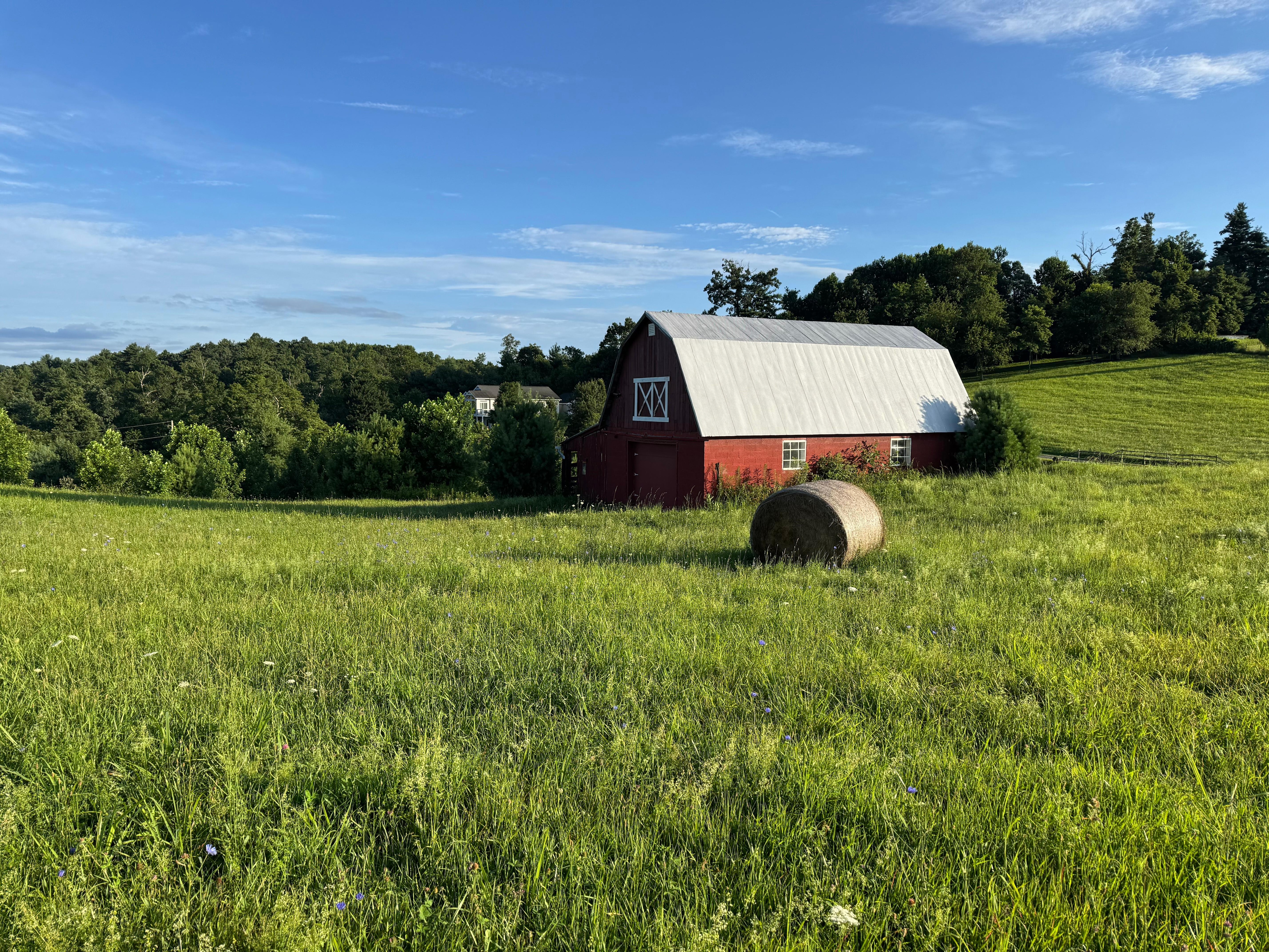 Barn on property