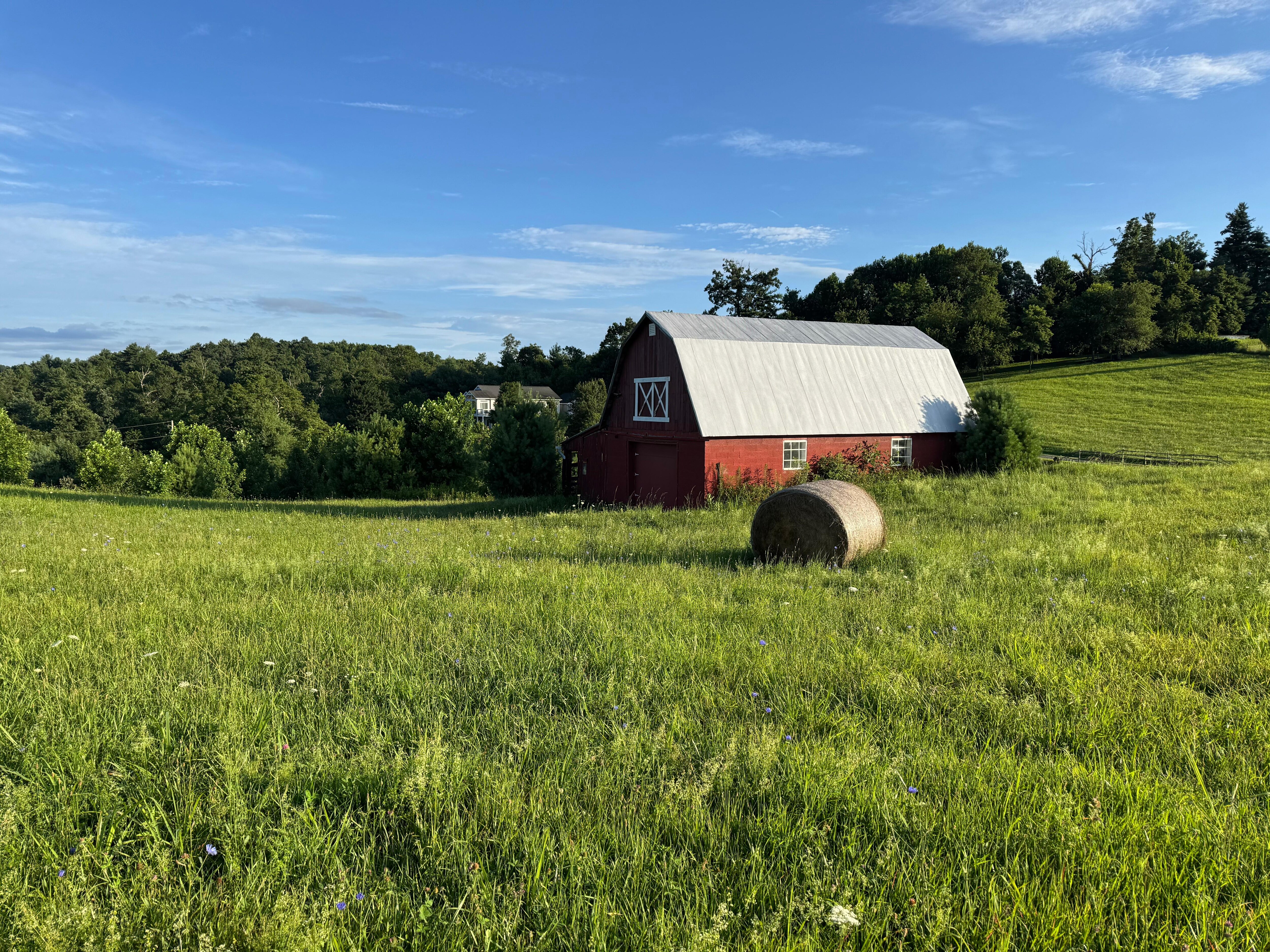 Barn on property
