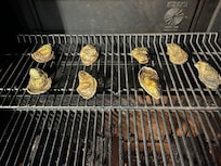Oysters on the grill.