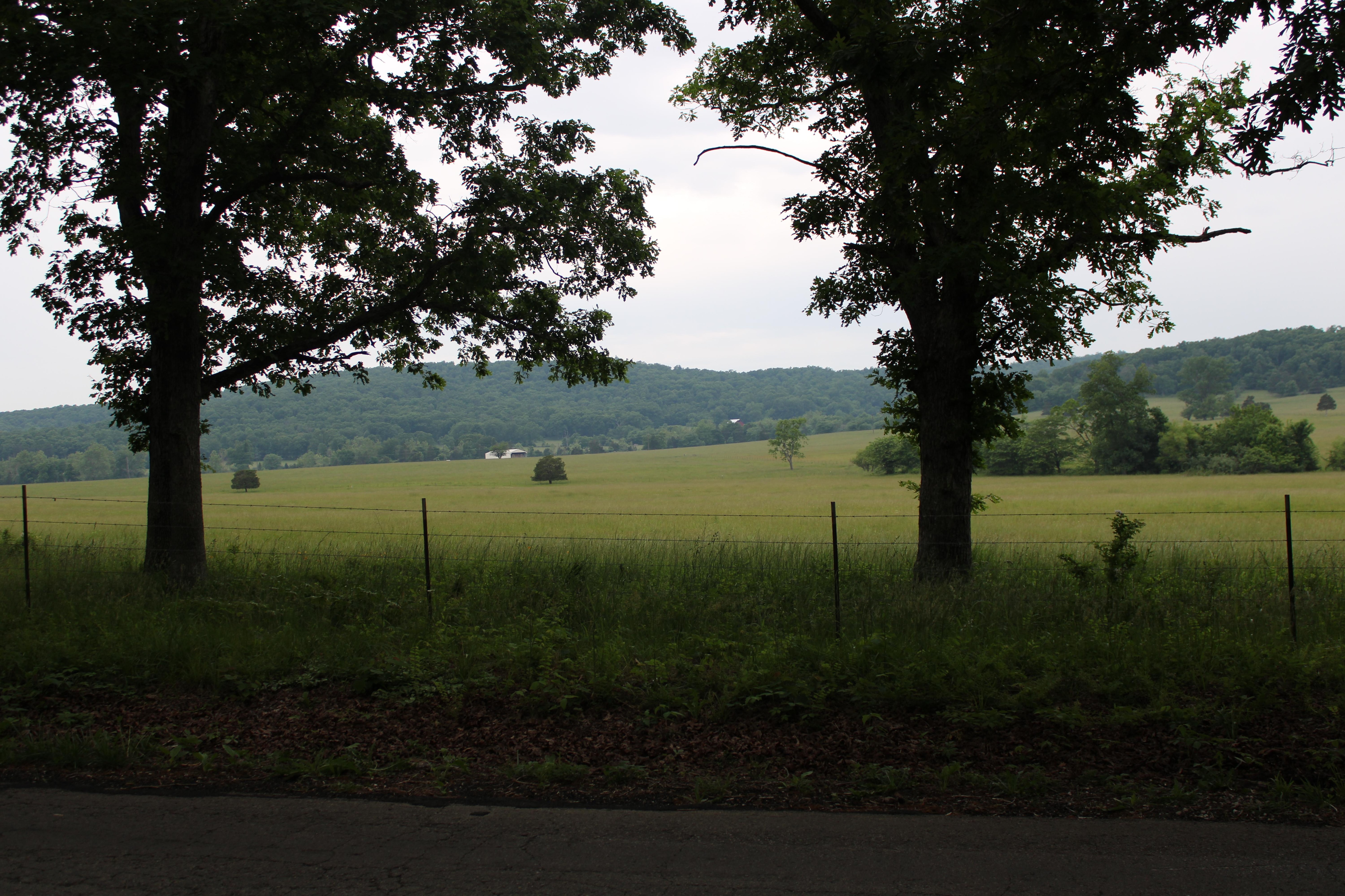 The "million dollar view" across the road. 
