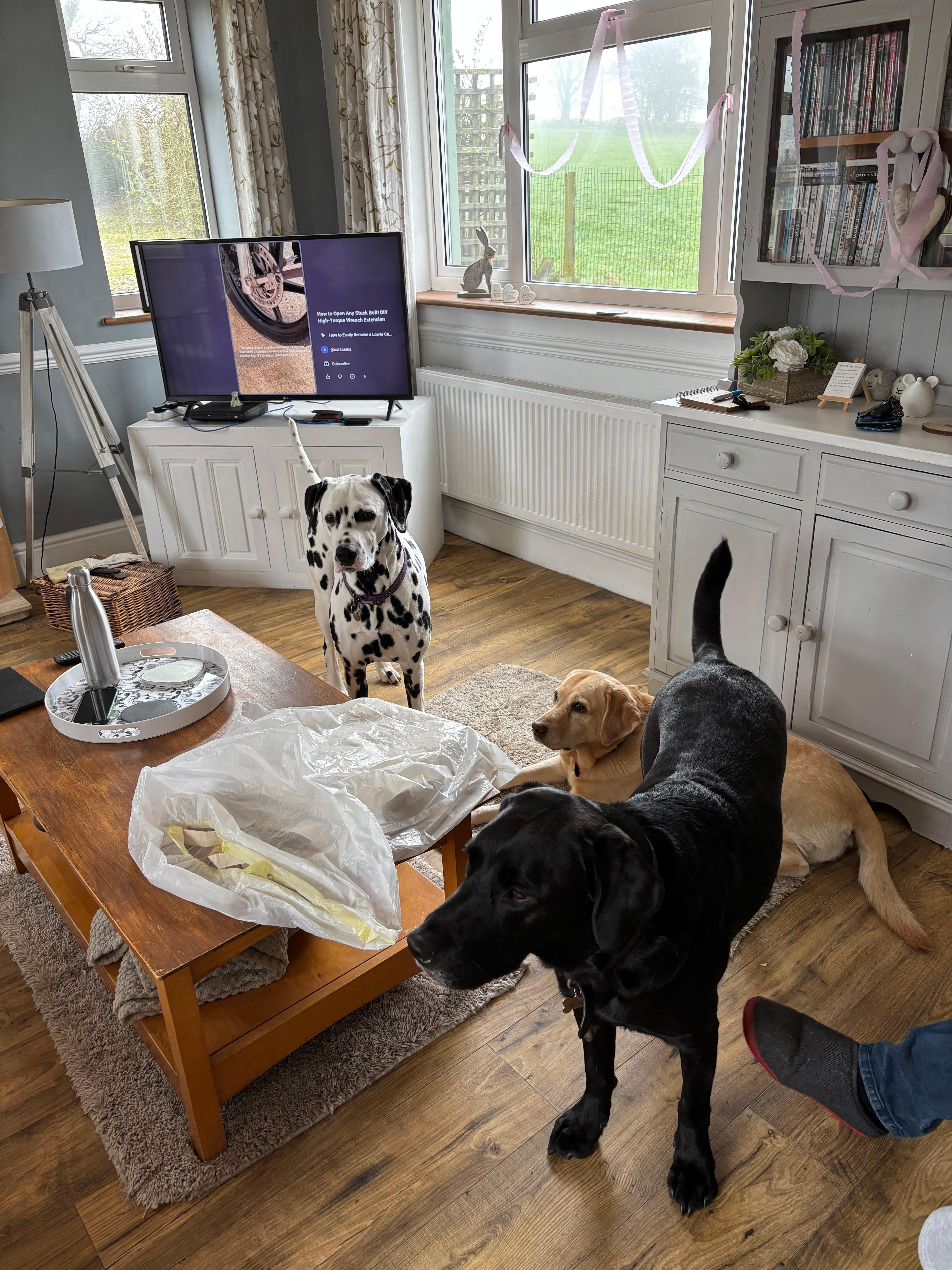 Comfortable, light and warm living room
