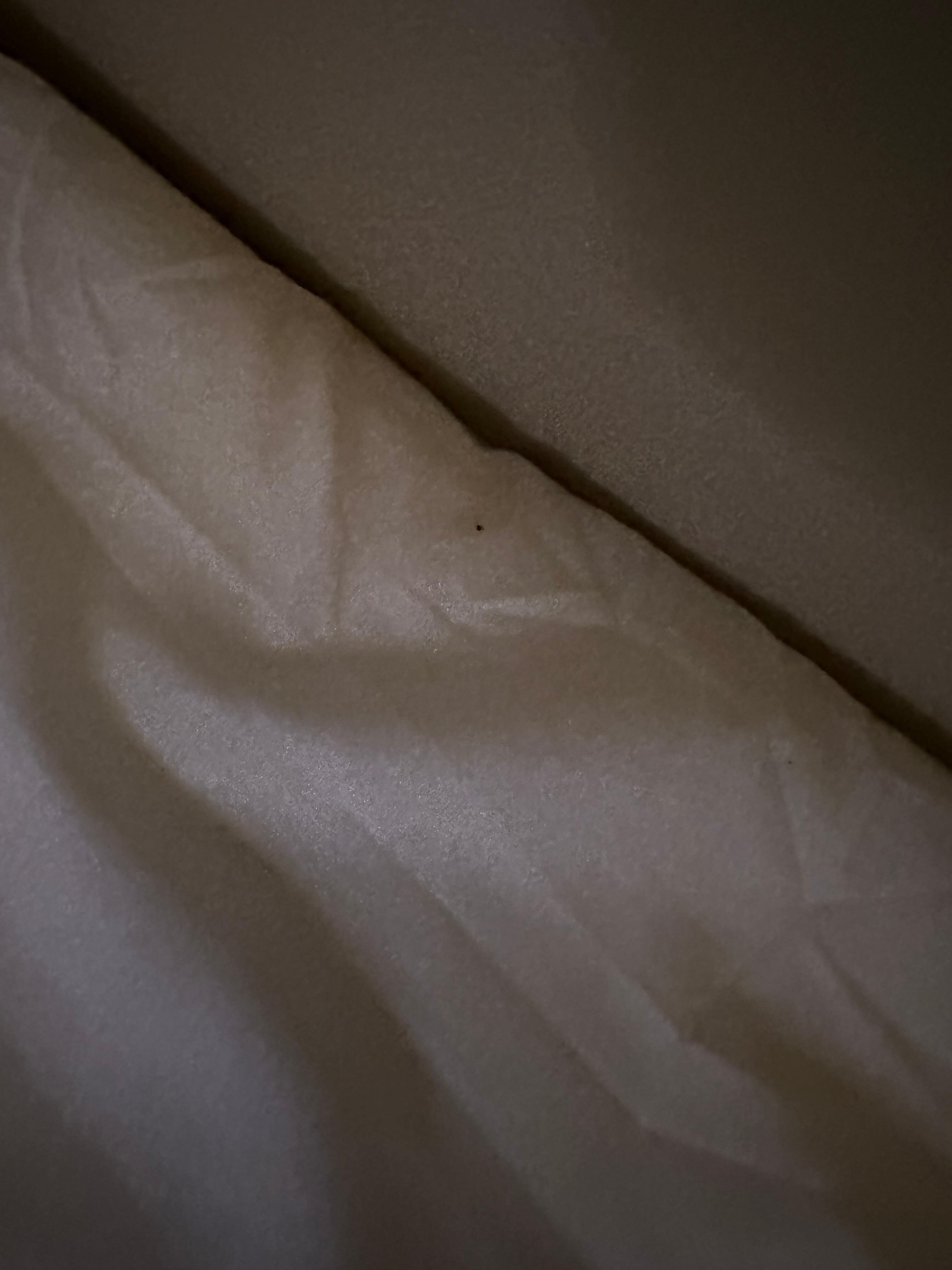 Dirty bedding 