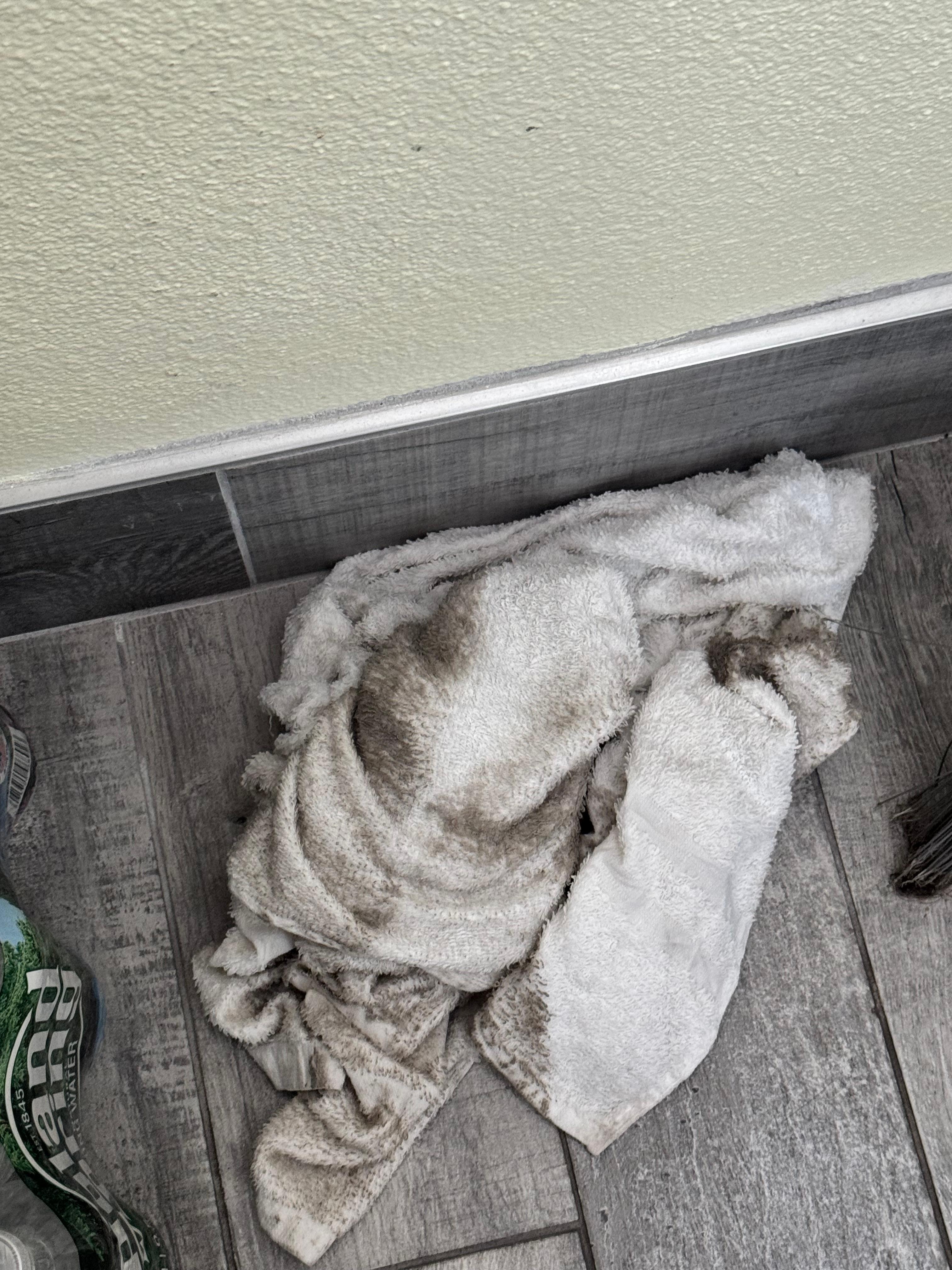 Towel after mopping. Staff did not provide cleaning supplies 