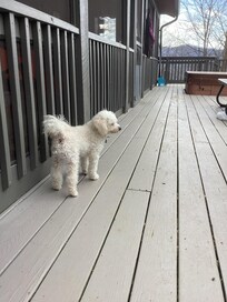 Very large deck!