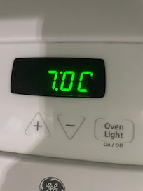 Bug in oven