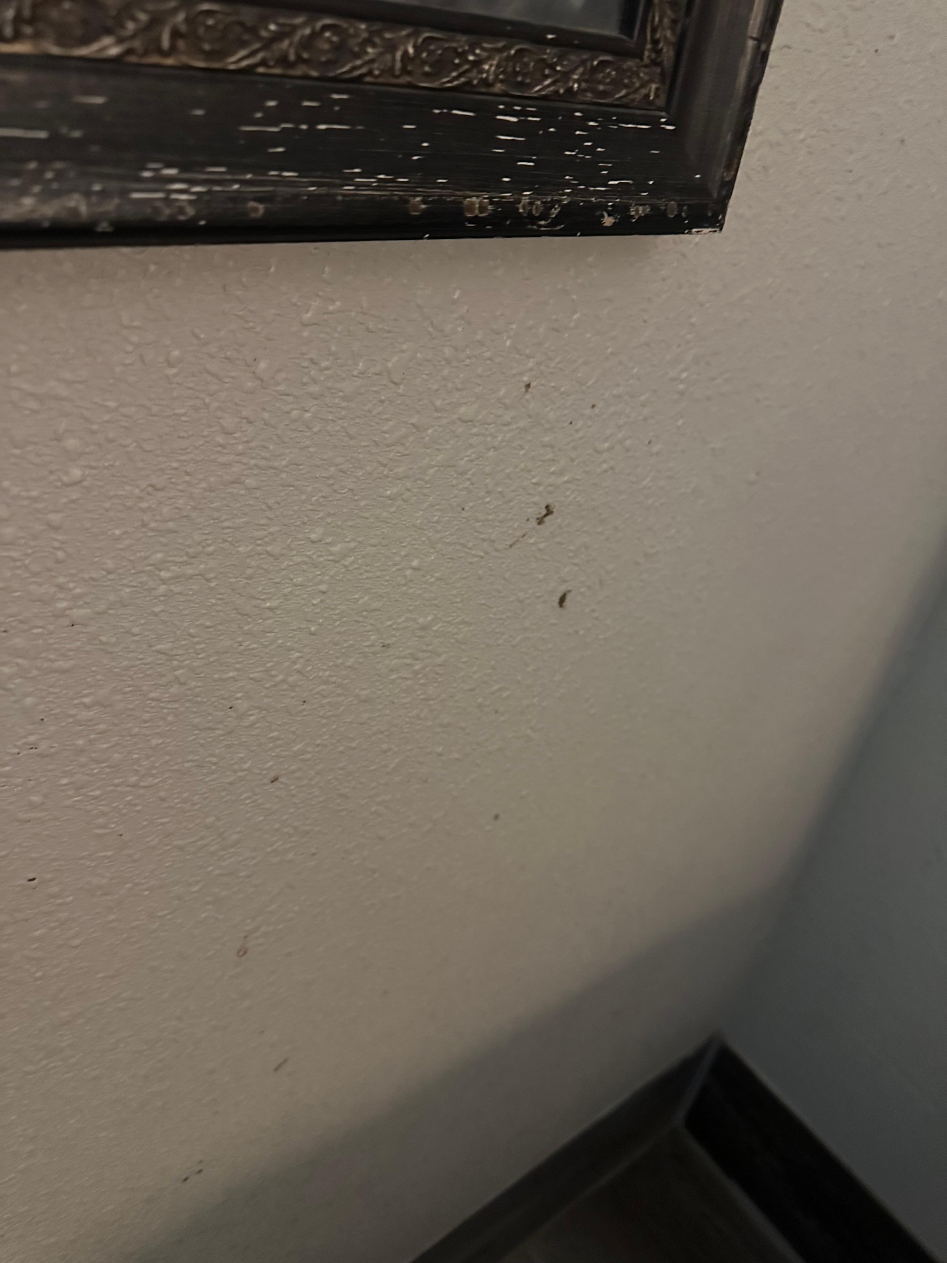 Gross stuff on the walls