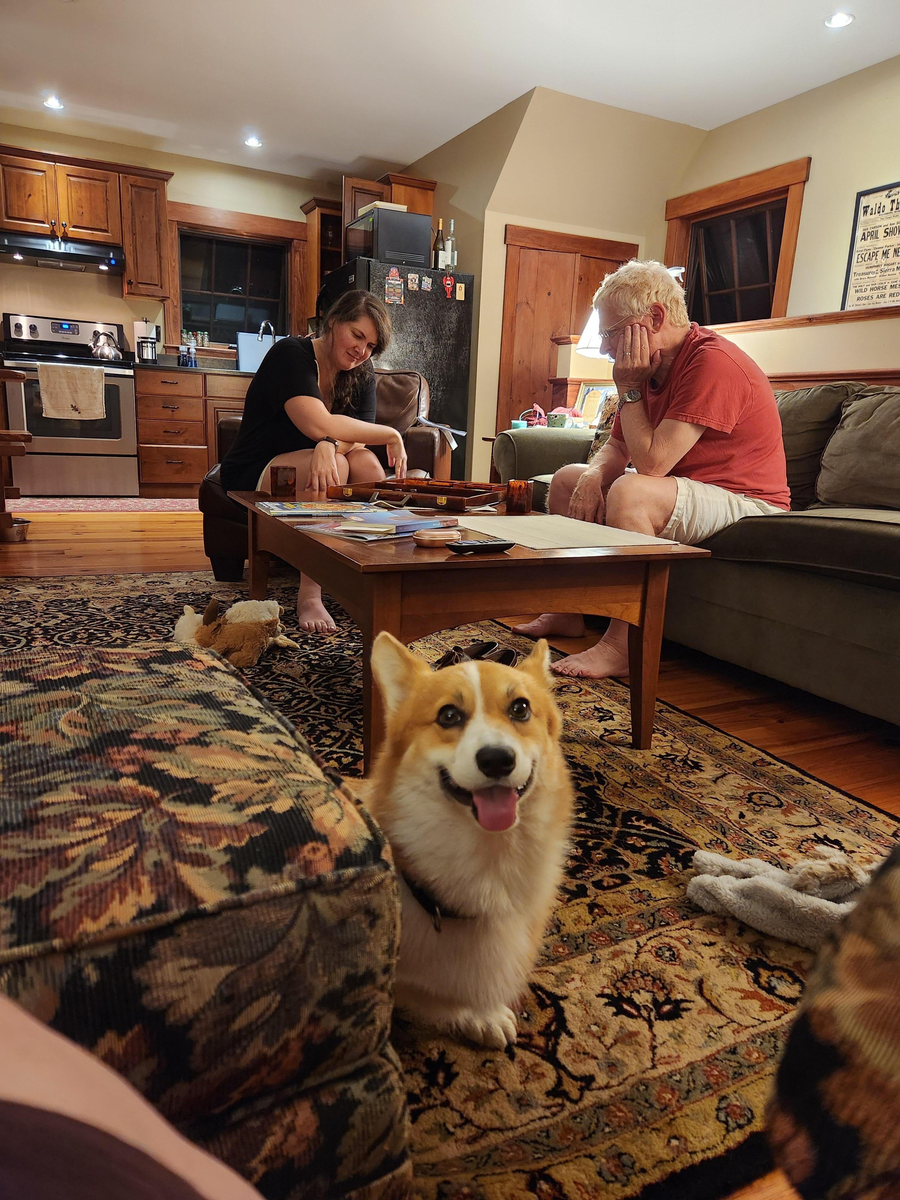Backgammon in the comfortable living room.