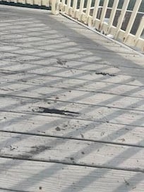The main deck: rotting floor boards, splinters, peeling paint - WEAR SHOES! We weren't able to capture the spider webs in the sun.