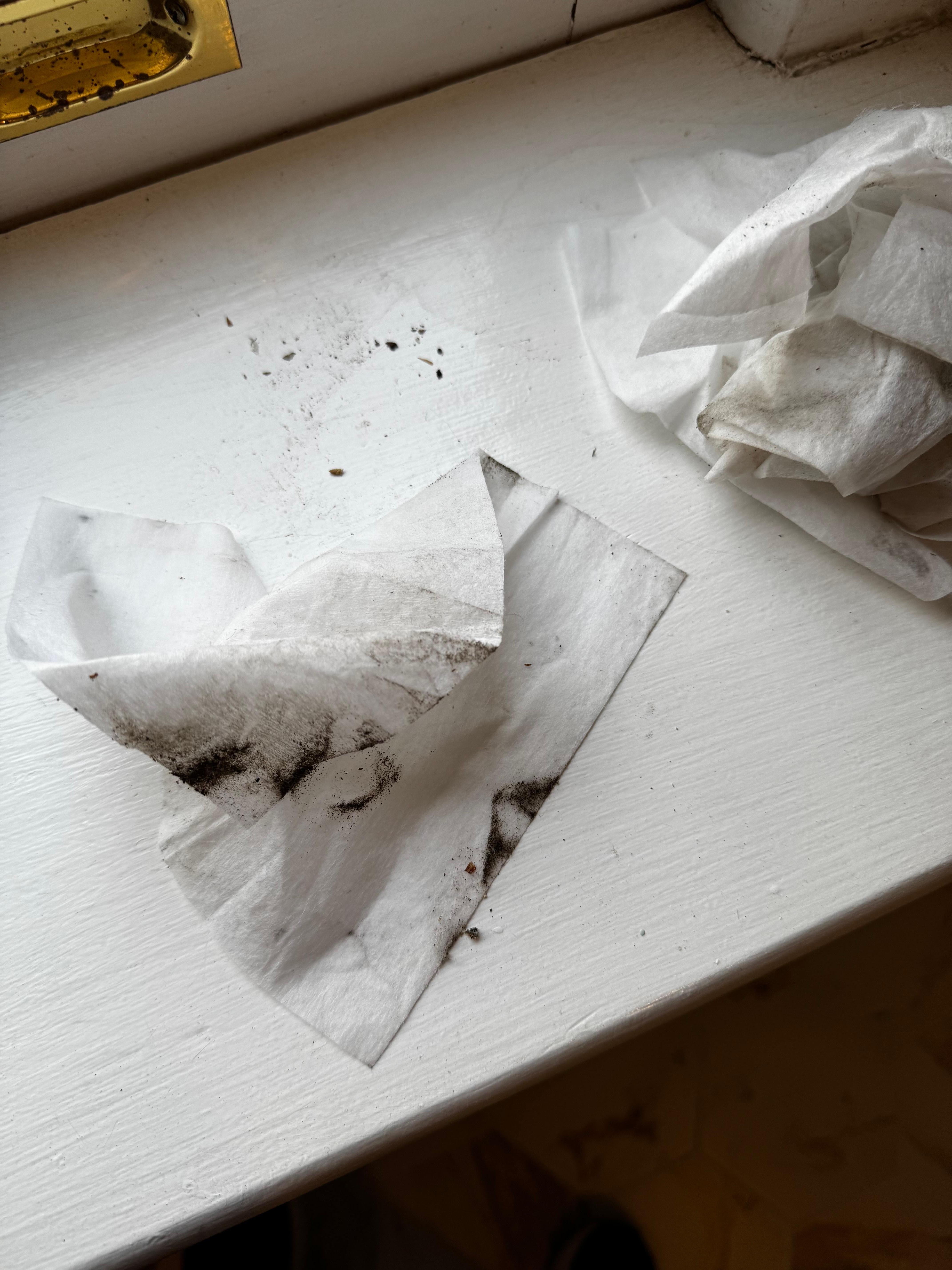 cleaning cloths after bathroom cleaning