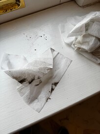 cleaning cloths after bathroom cleaning