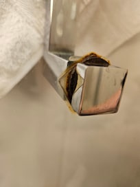Assume this is mold?