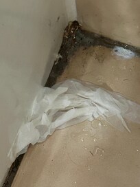 Bathroom floor