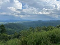 Taken on the Parkway.