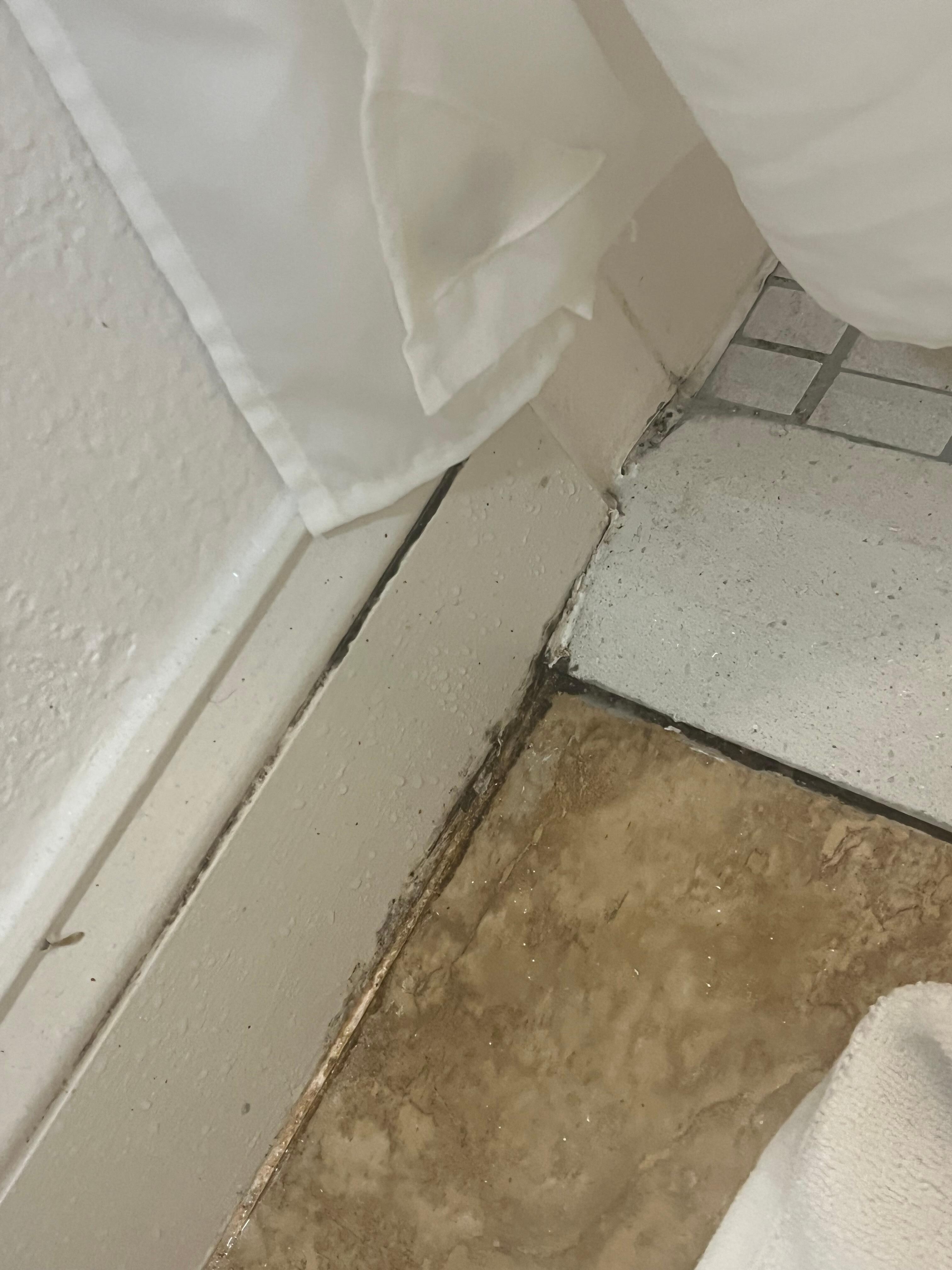 Mold
