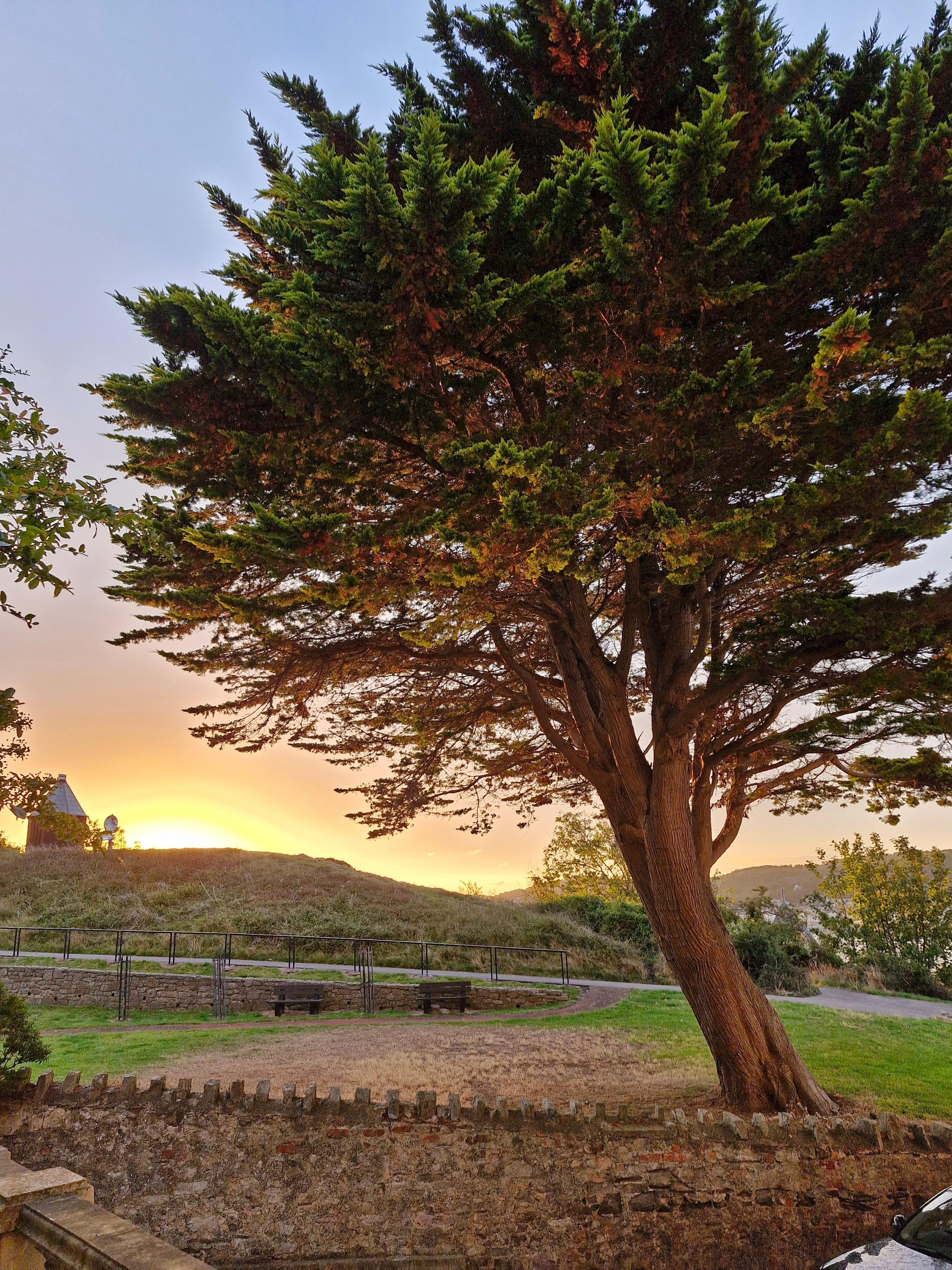 Morning view from room patio