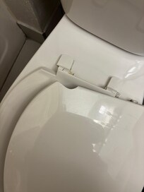 Toilet seat the lady did do an awesome job out trying to get a toilet seat fixed for us