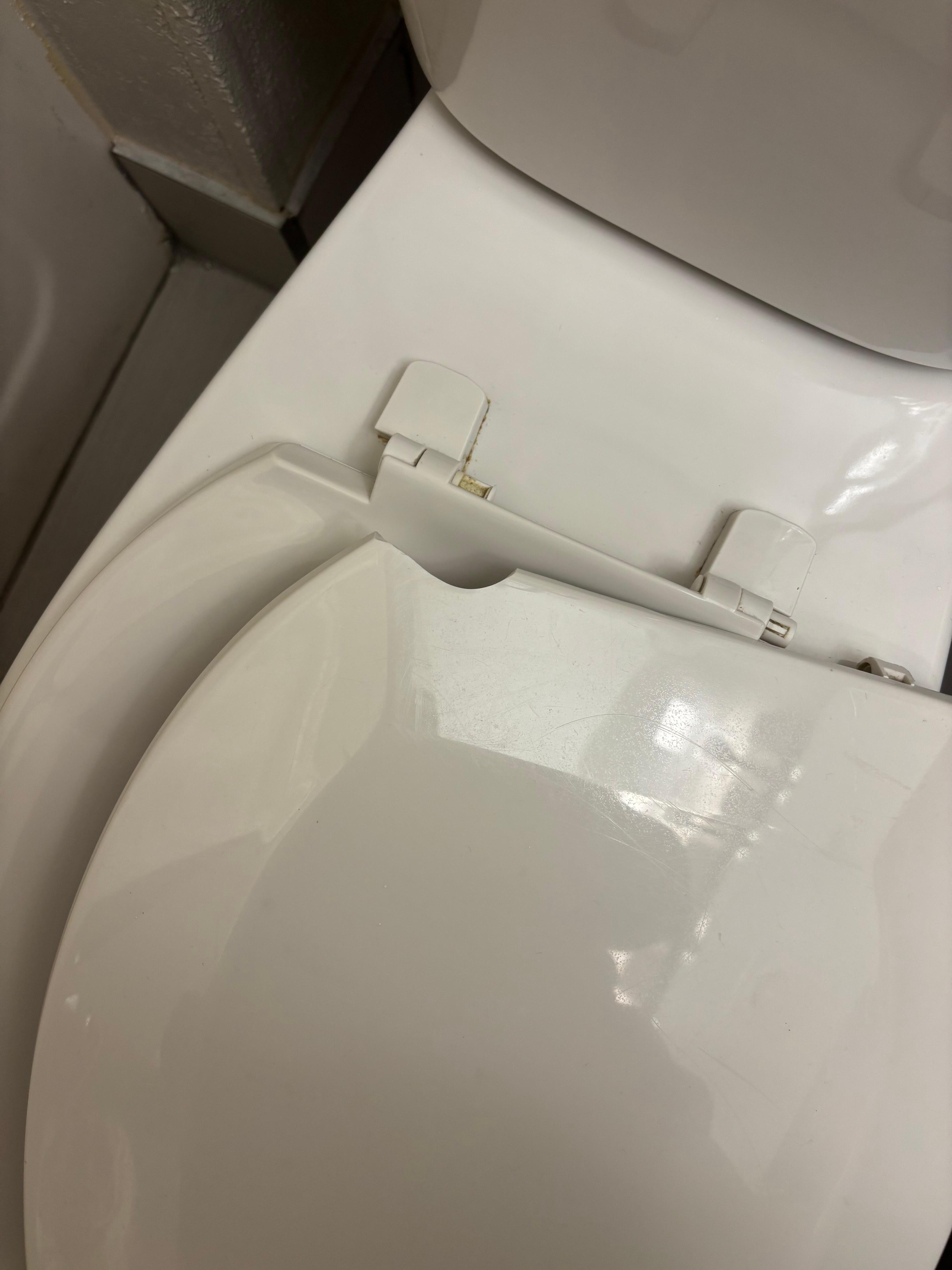 Toilet seat the lady did do an awesome job out trying to get a toilet seat fixed for us