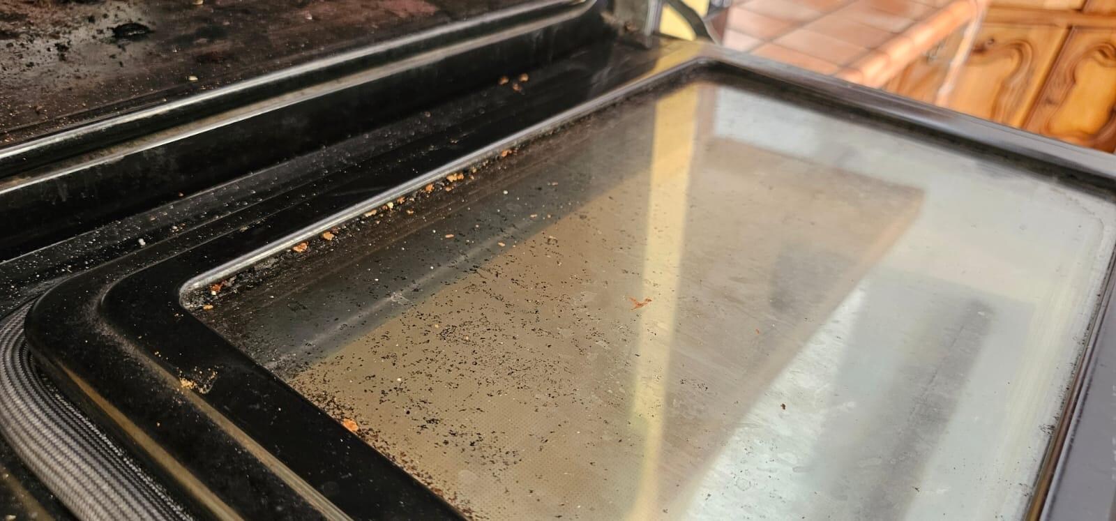 Oven door