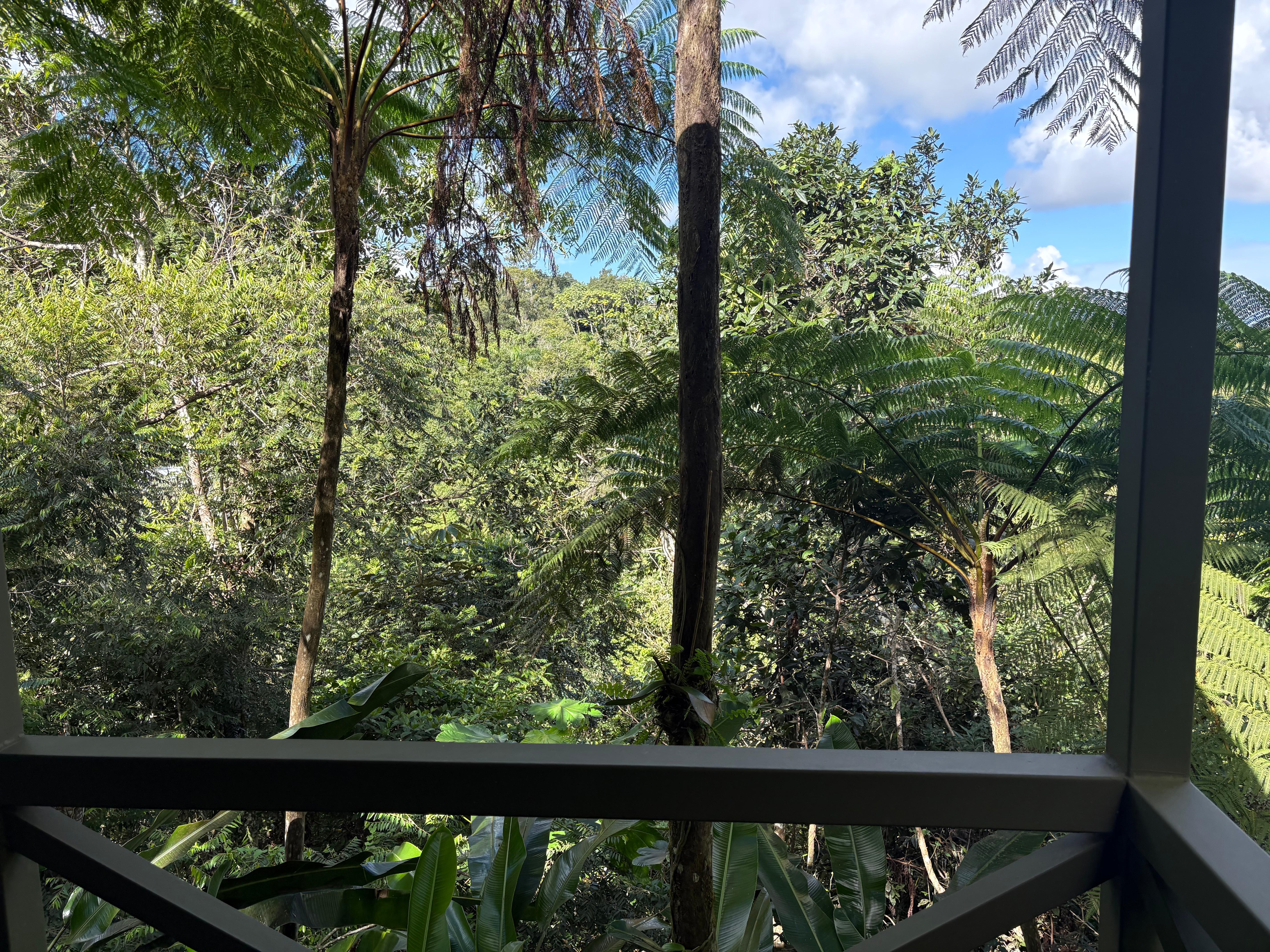 The view from our deck. 