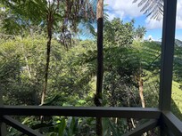 The view from our deck.