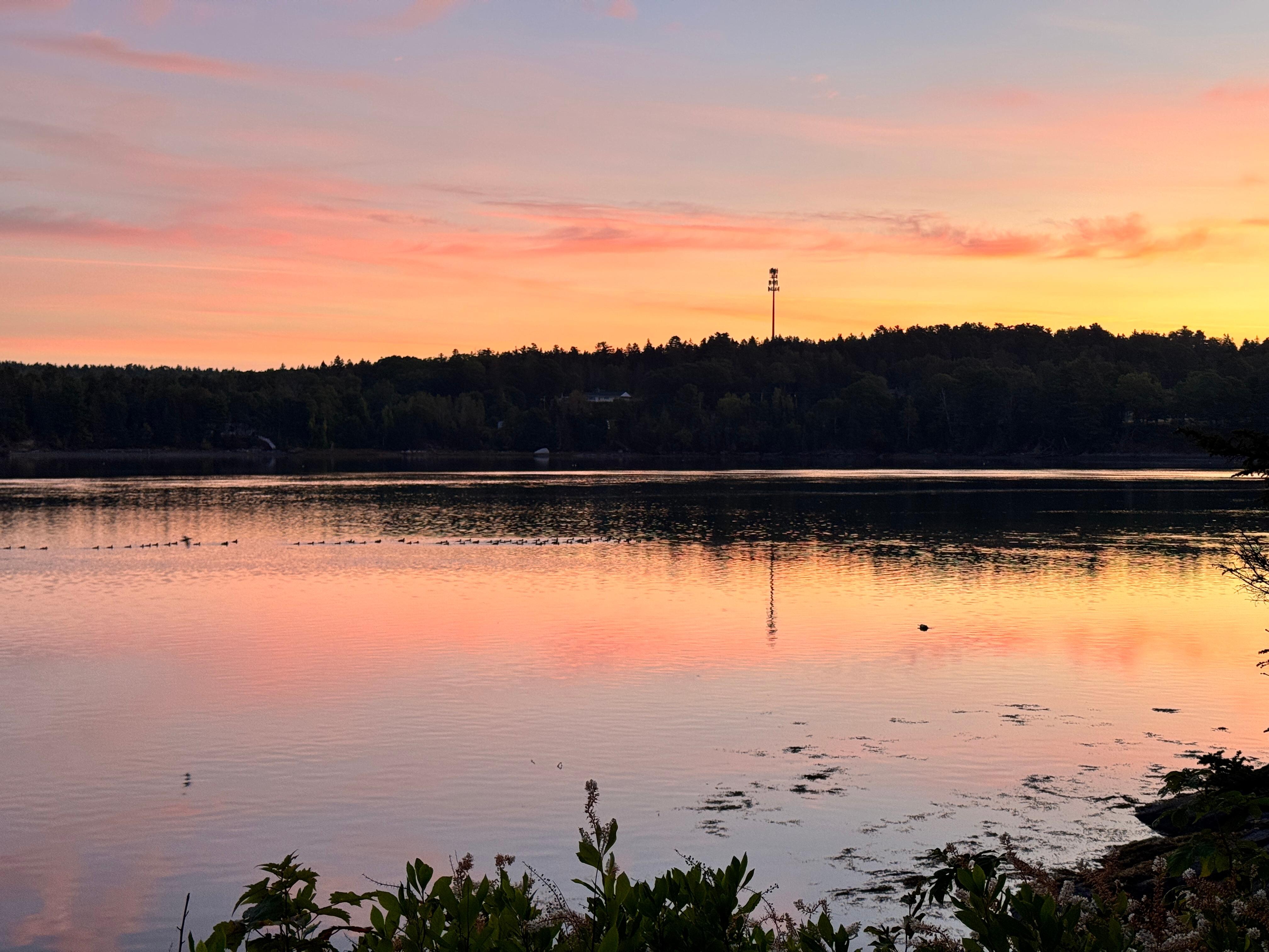Sunrise from the fire-pit area
