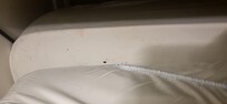 Right side of the bed -dead bug between matress and boxspring