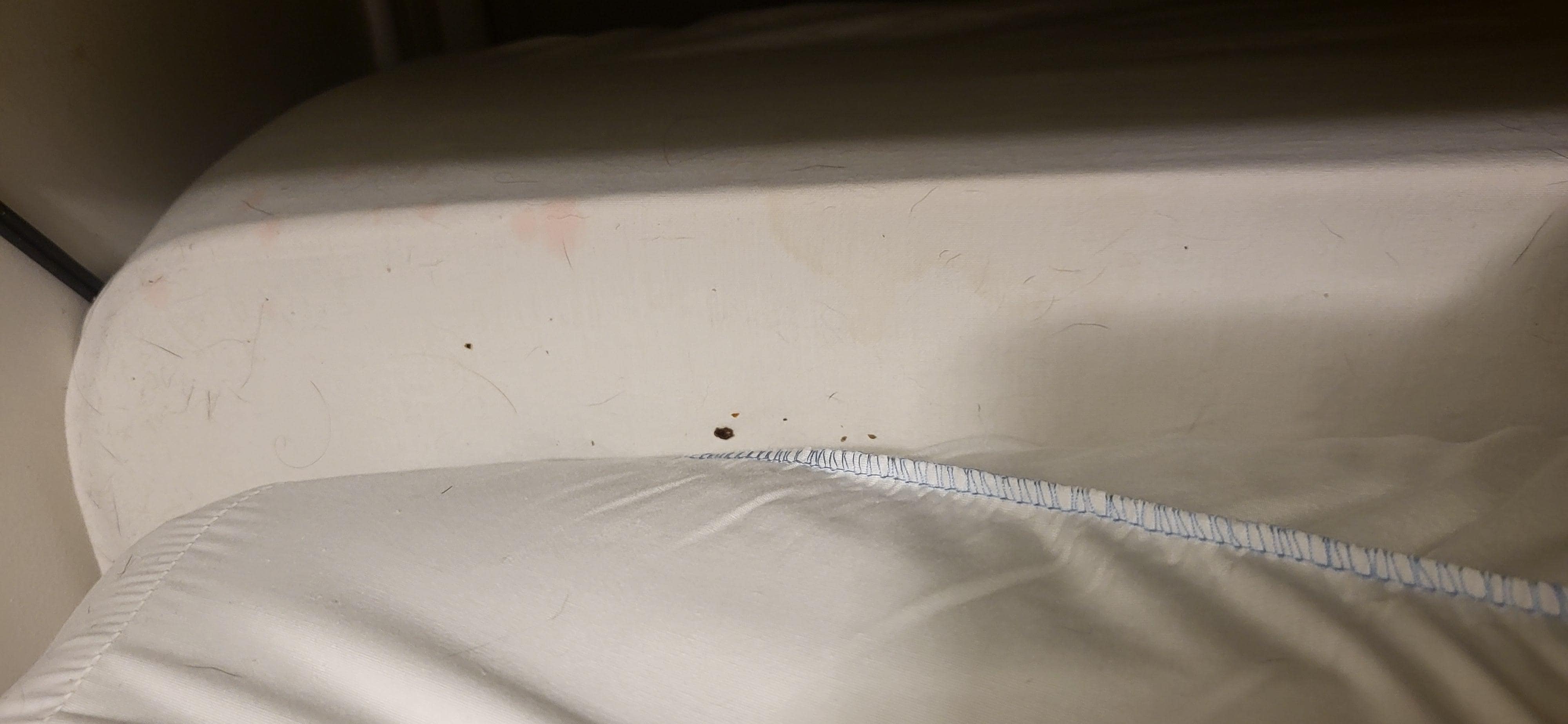 Right side of the bed -dead bug between matress and boxspring