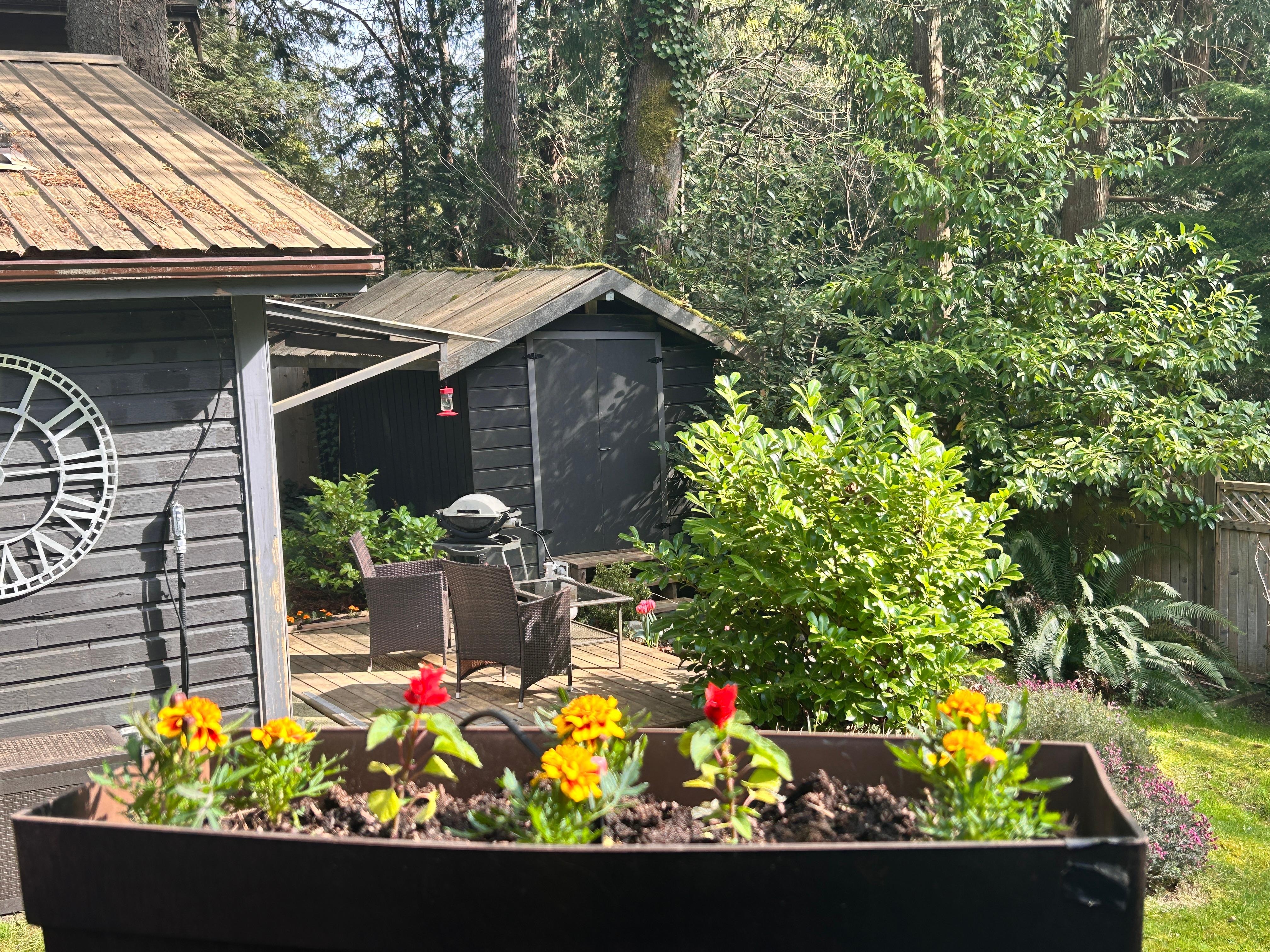 Front of cabin & deck