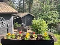 Front of cabin & deck