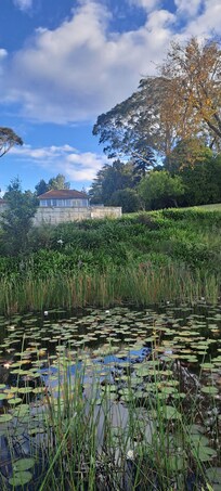 The lotus pond with a view of the cottage.