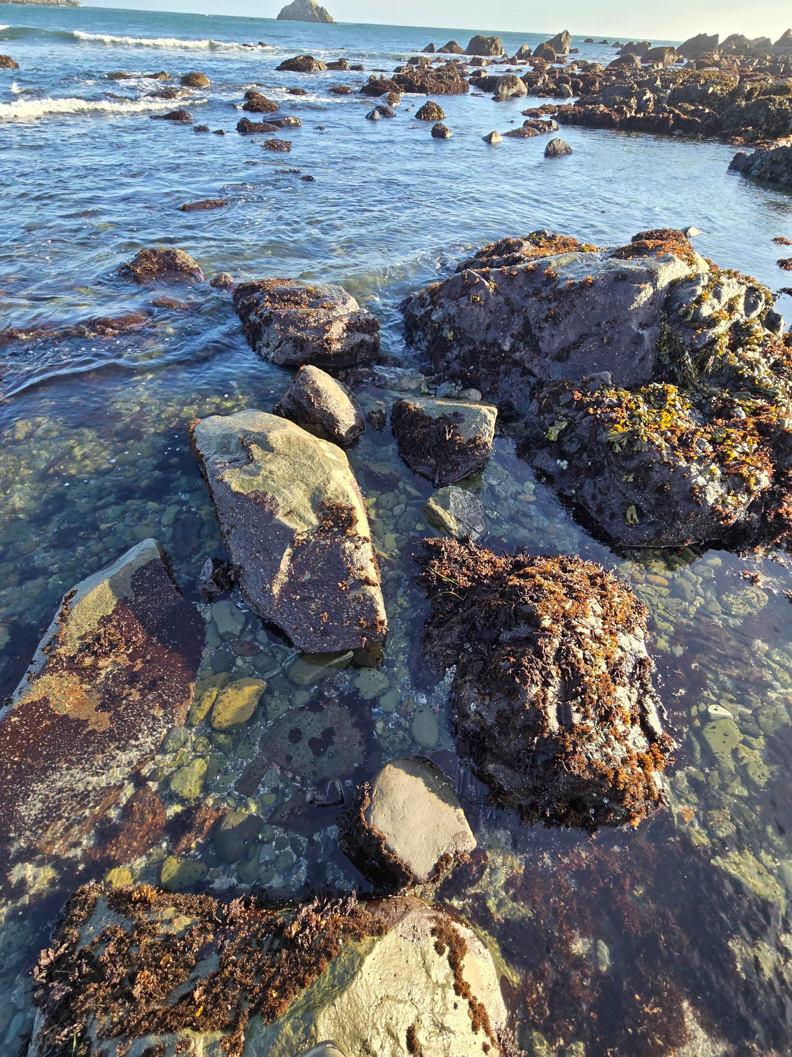 From the beach thats a short walk from property 