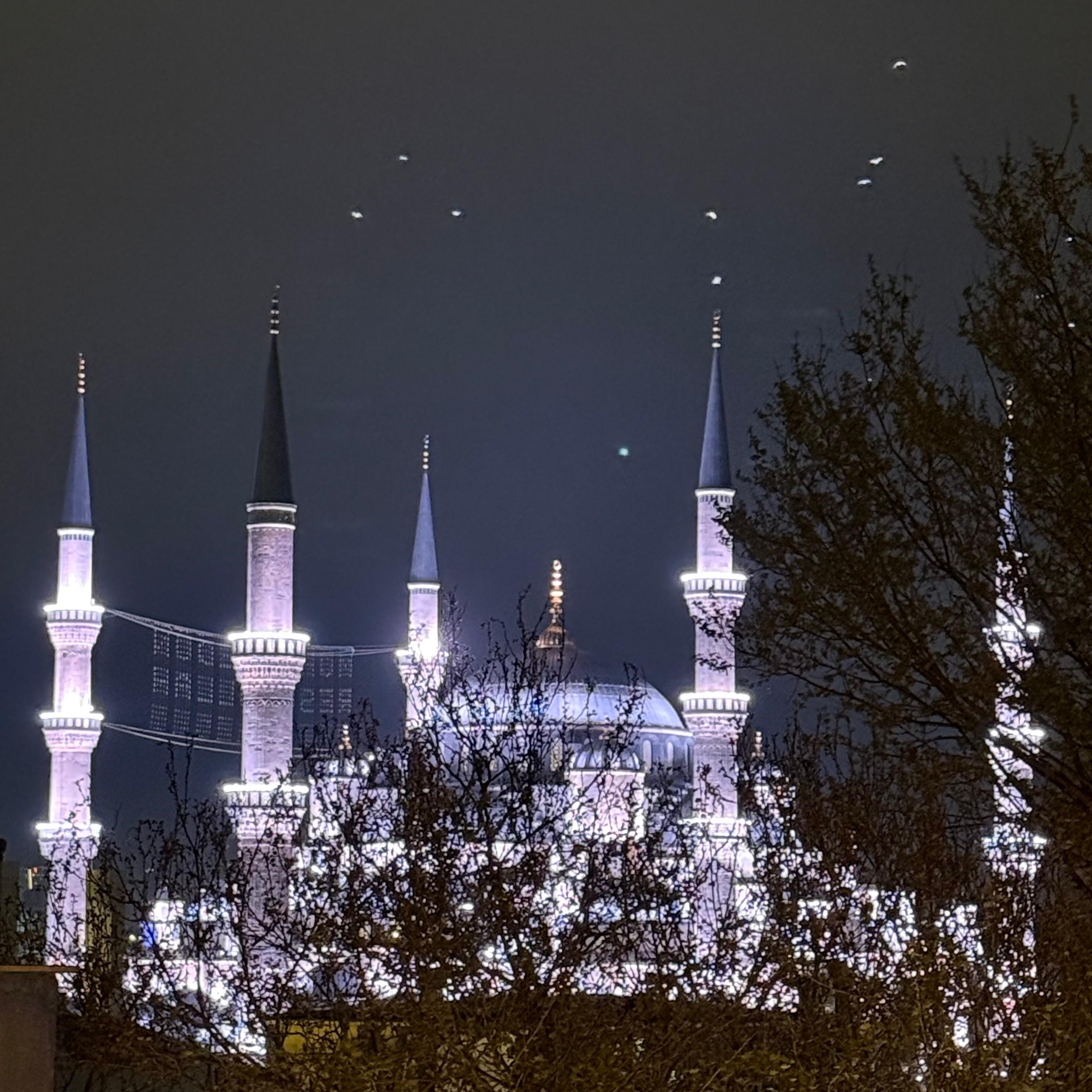 View from the balcony of the Blue Mosque-Hope you can see the seagulls!