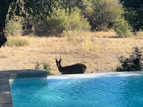 Never know who you will meet by the pool