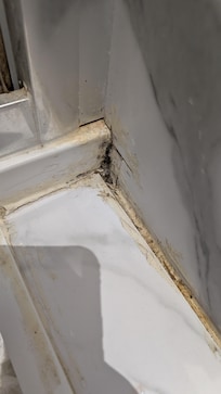 Mouldy