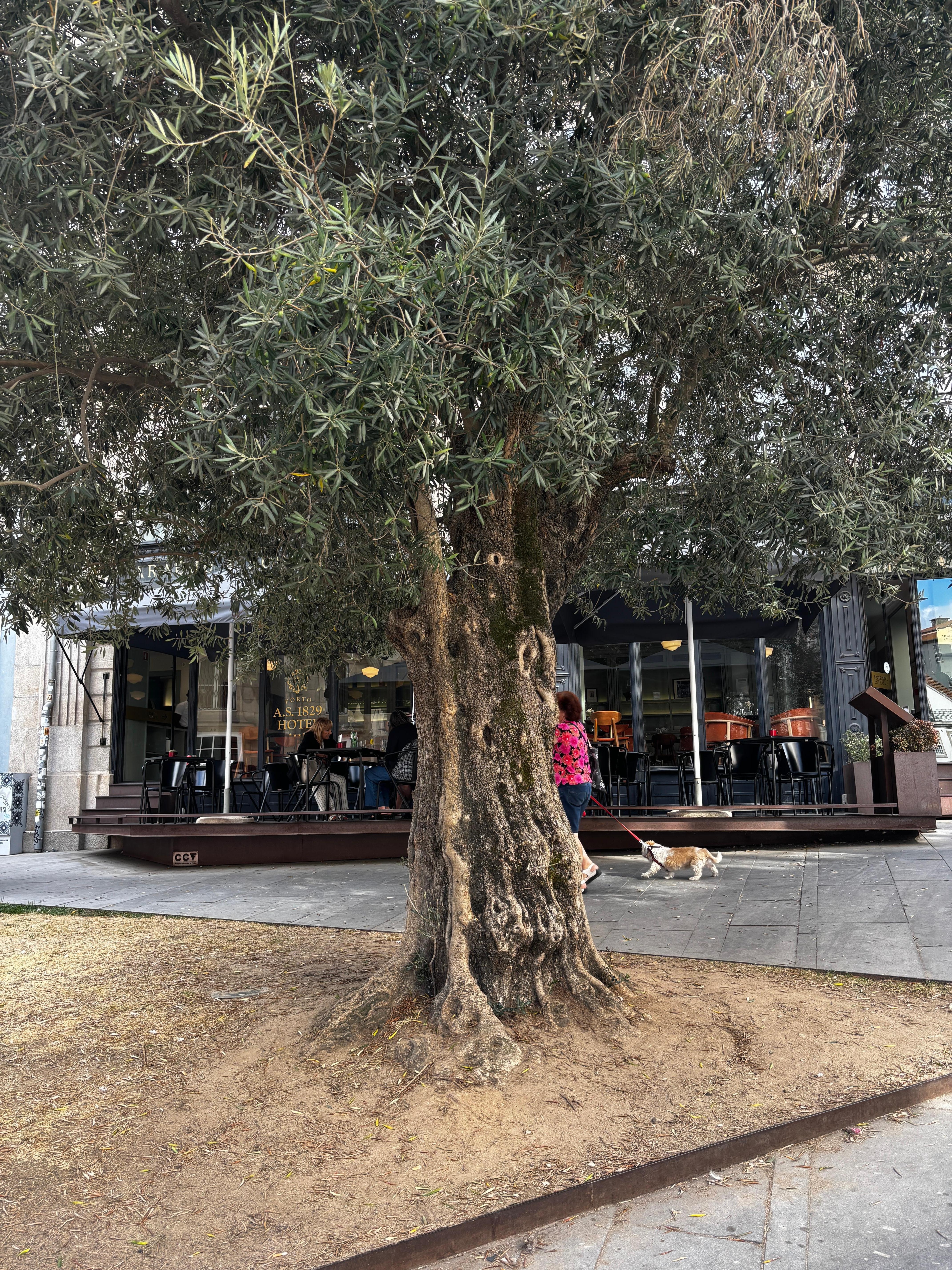 Hotel above restaurant 