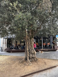 Hotel above restaurant