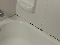 Mold