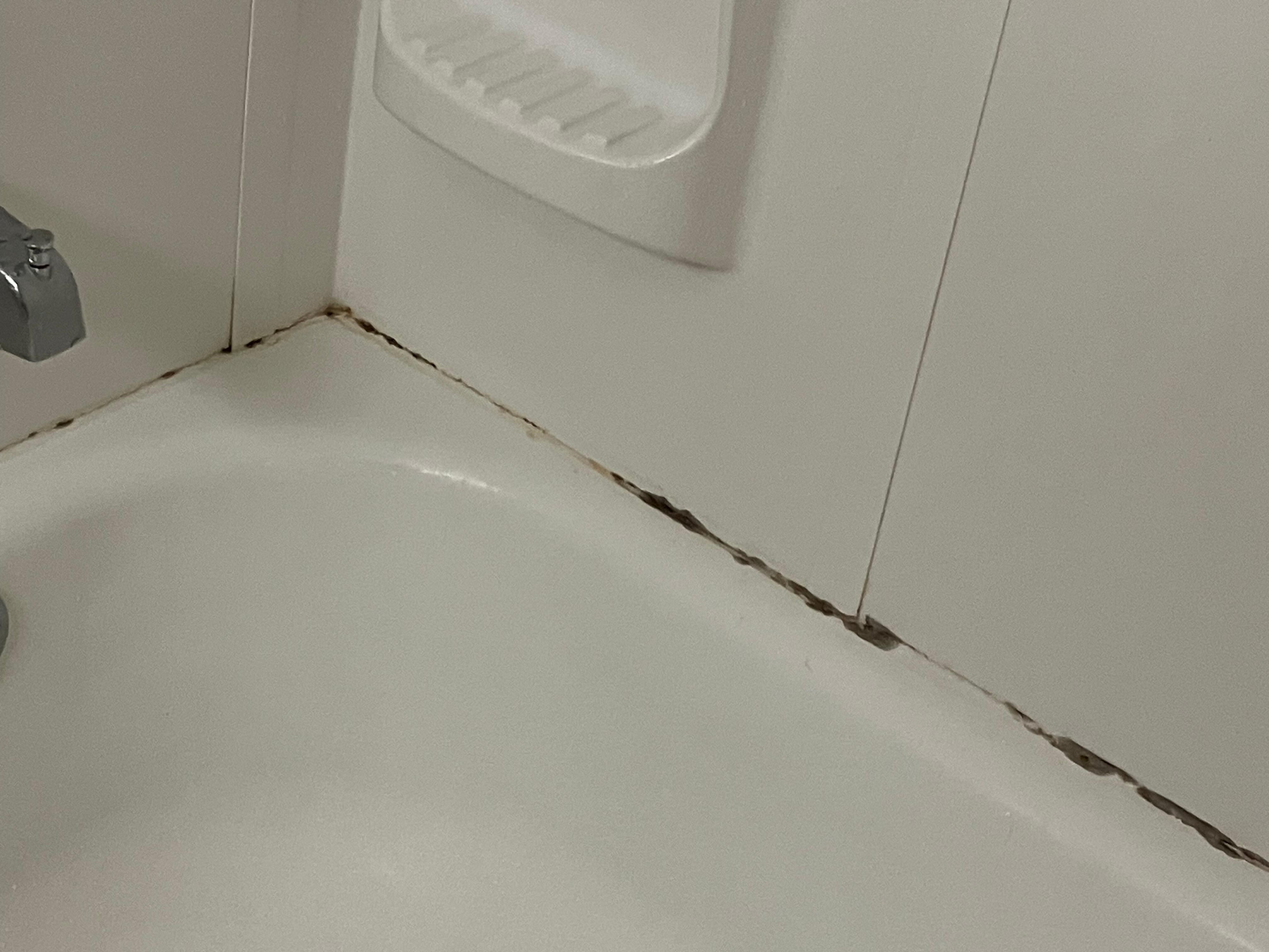 Mold