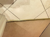 Carpet into bathroom