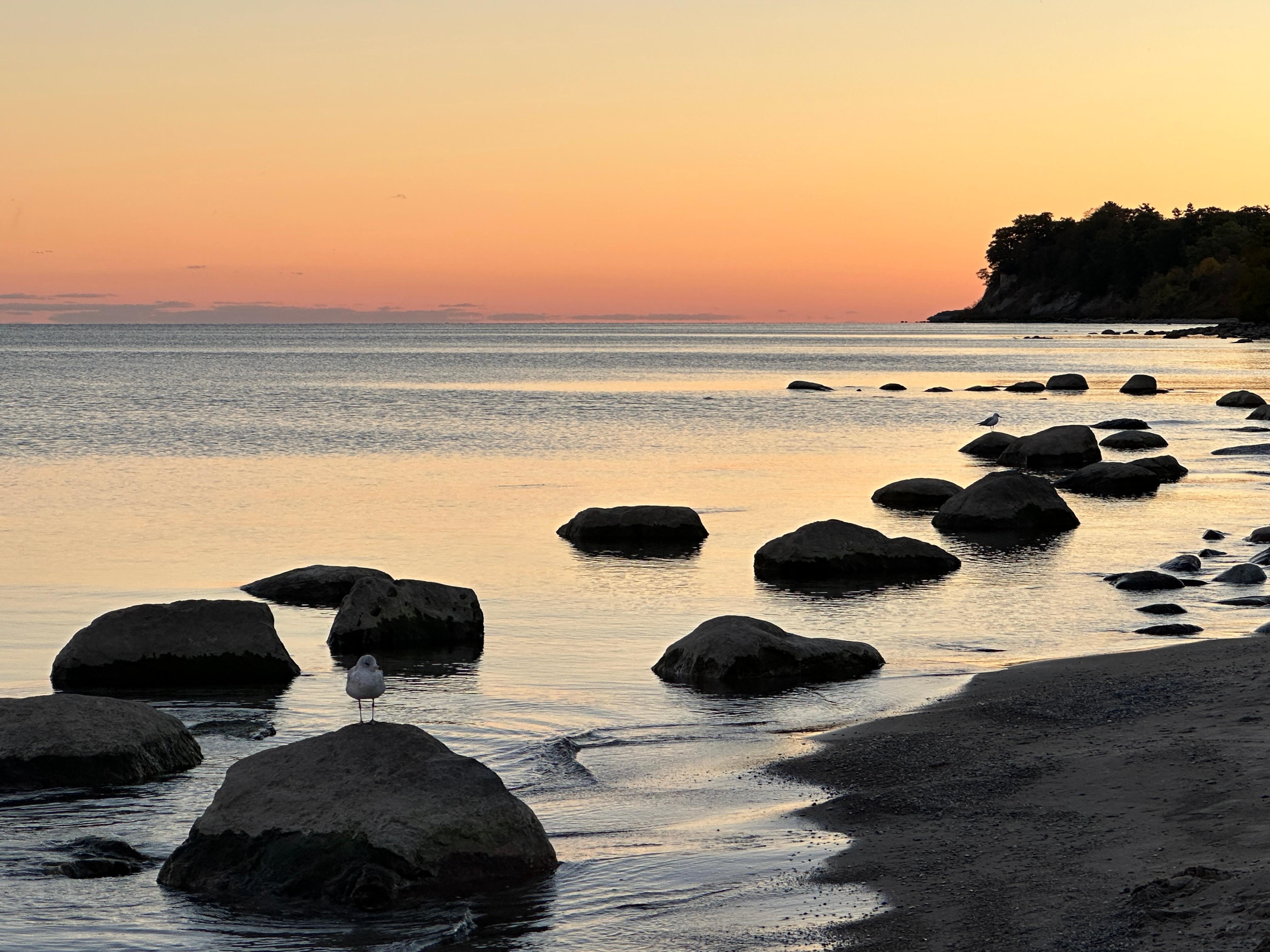 Lake Ontario nearby 10 minutes