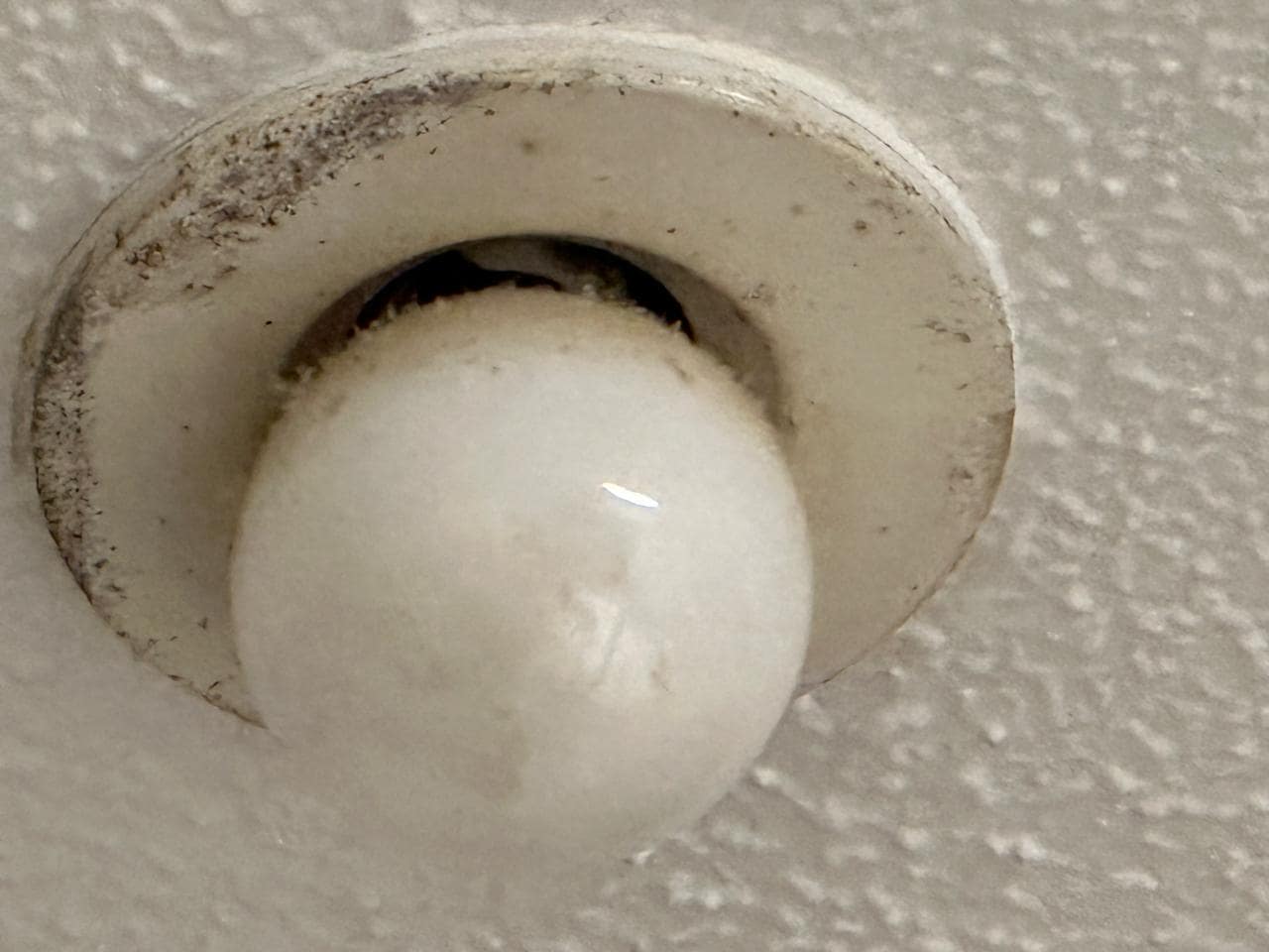 Bombilla interior con vida propia.