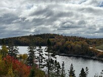 Deck view with eagle soaring over the trees. Picture doesn’t even do it justice.