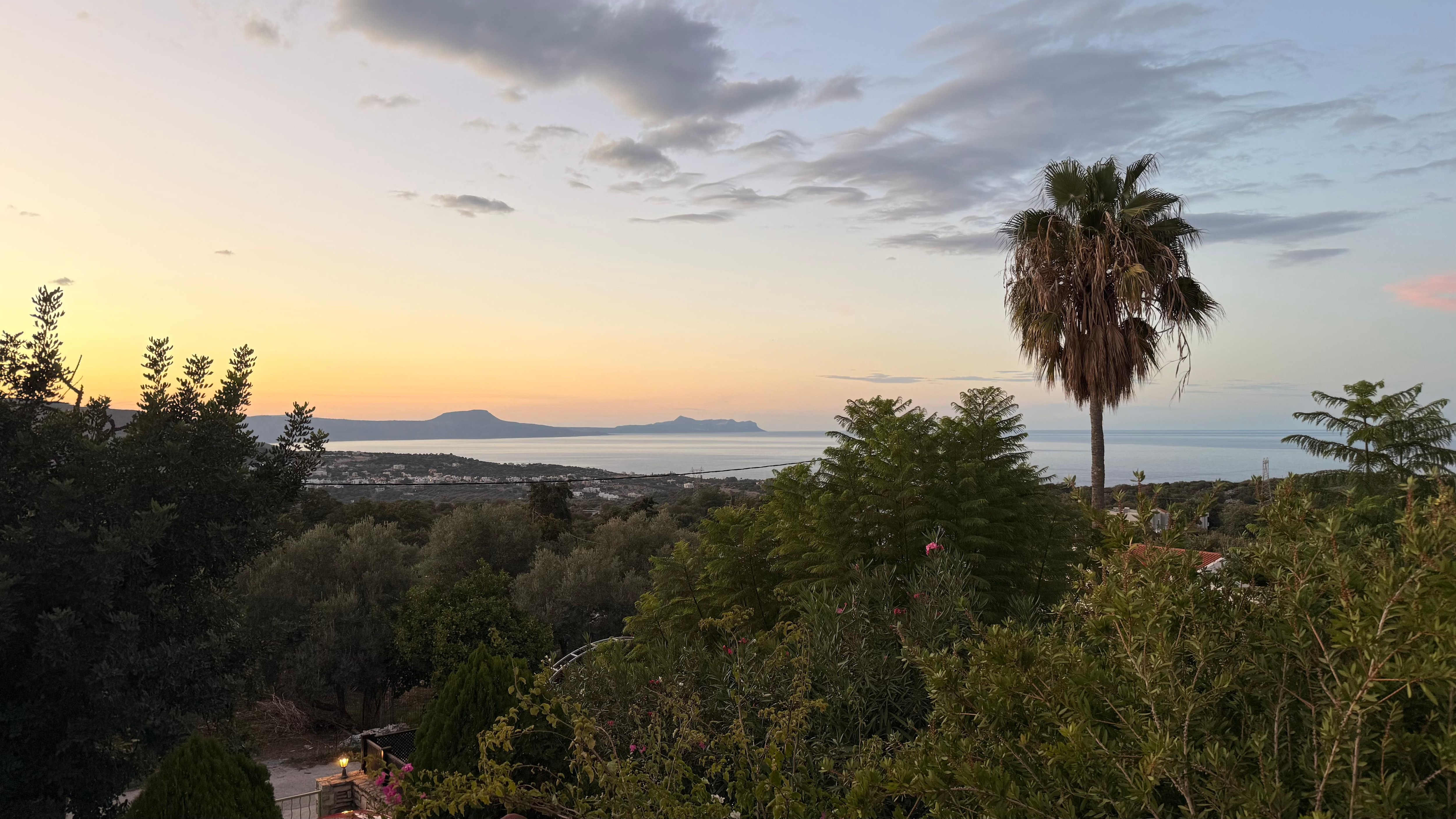 Blick von der Terrasse 