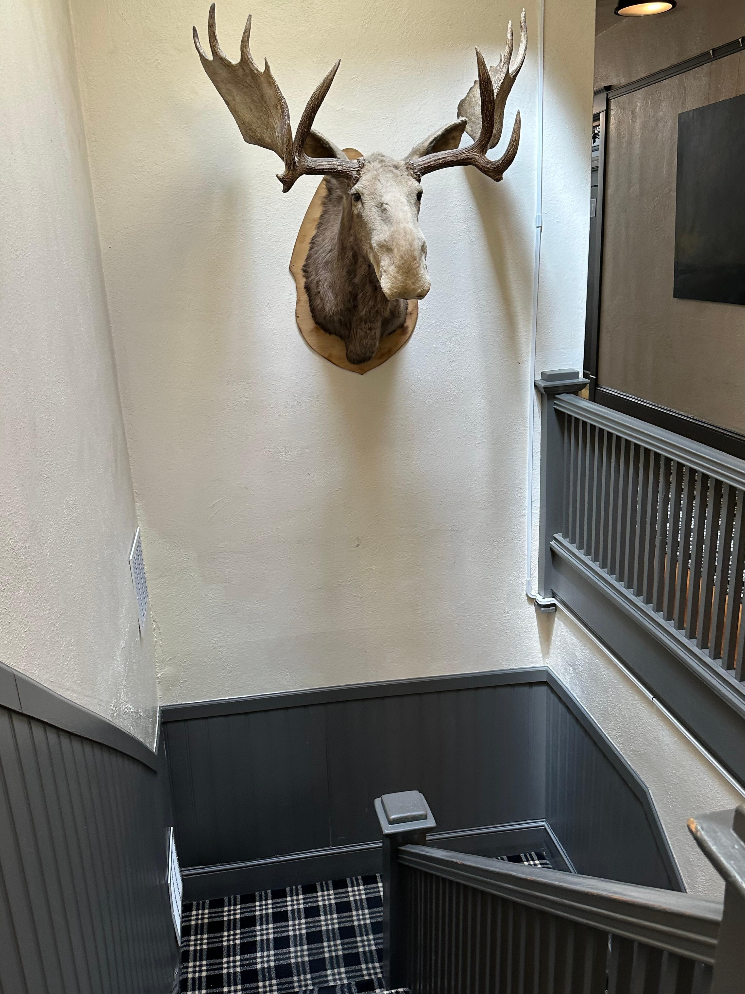 The stairwell 