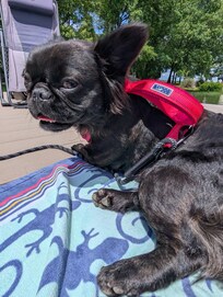 Our baby getting some sun time
