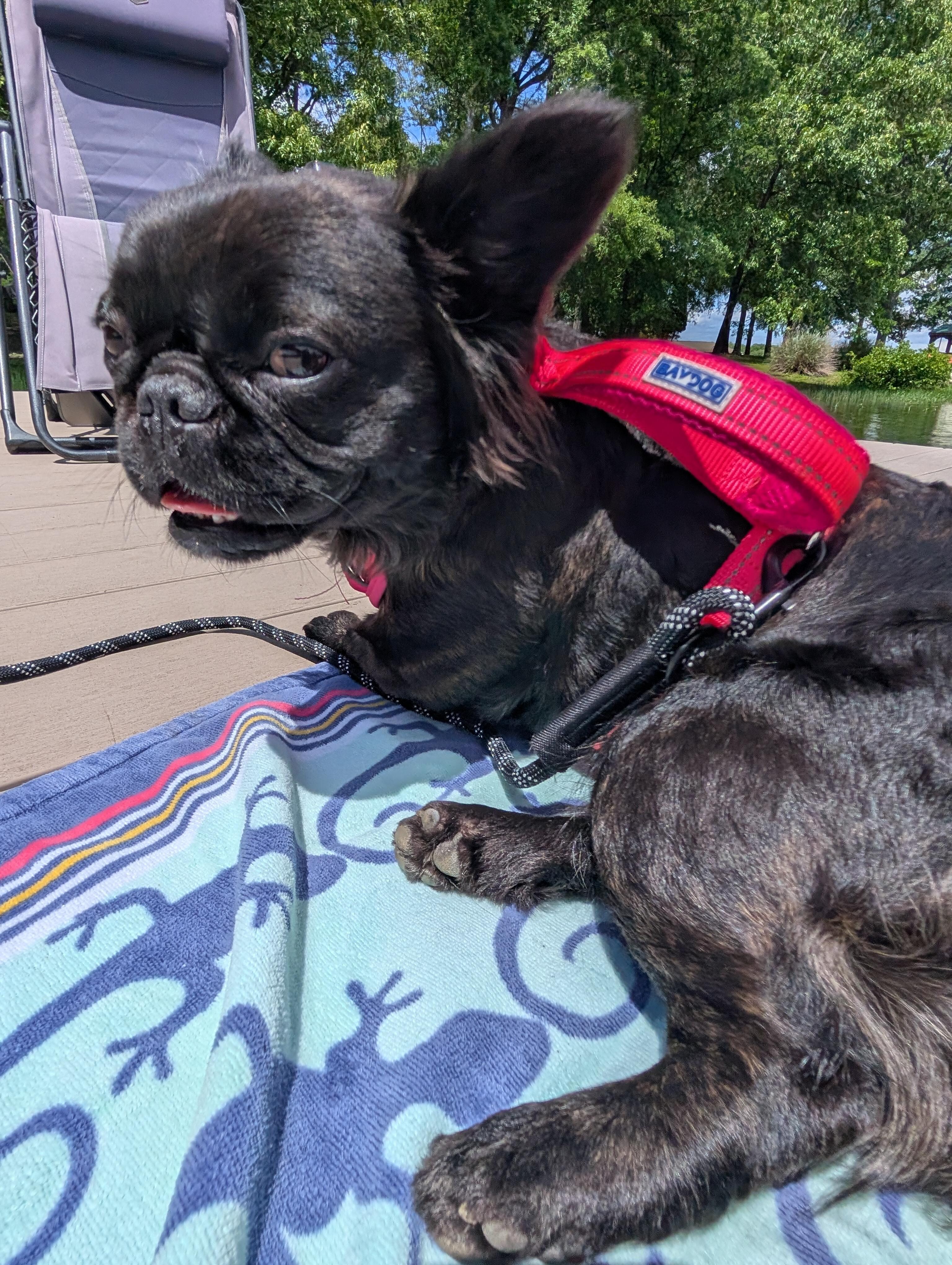 Our baby getting some sun time