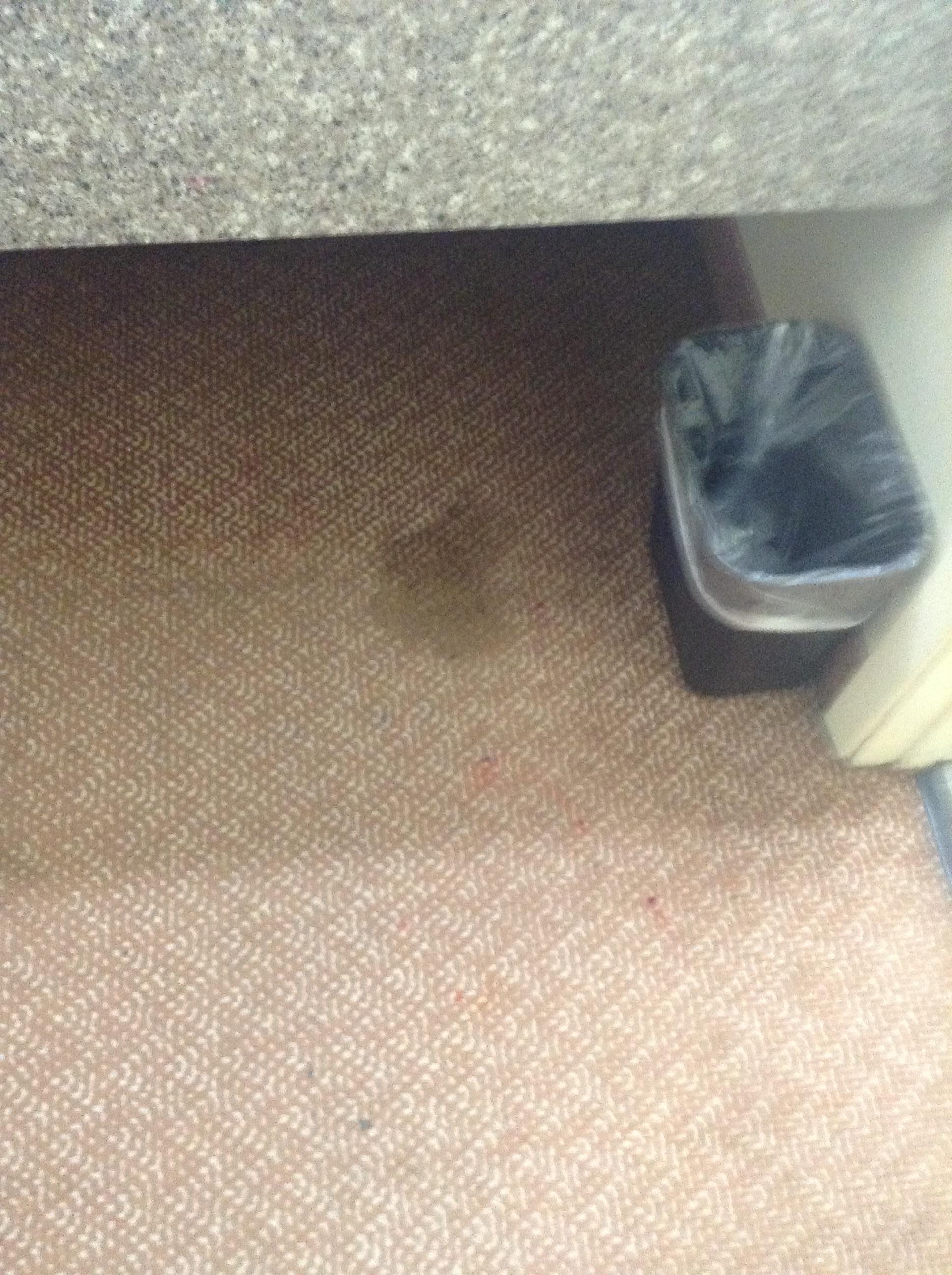 Stains on carpet