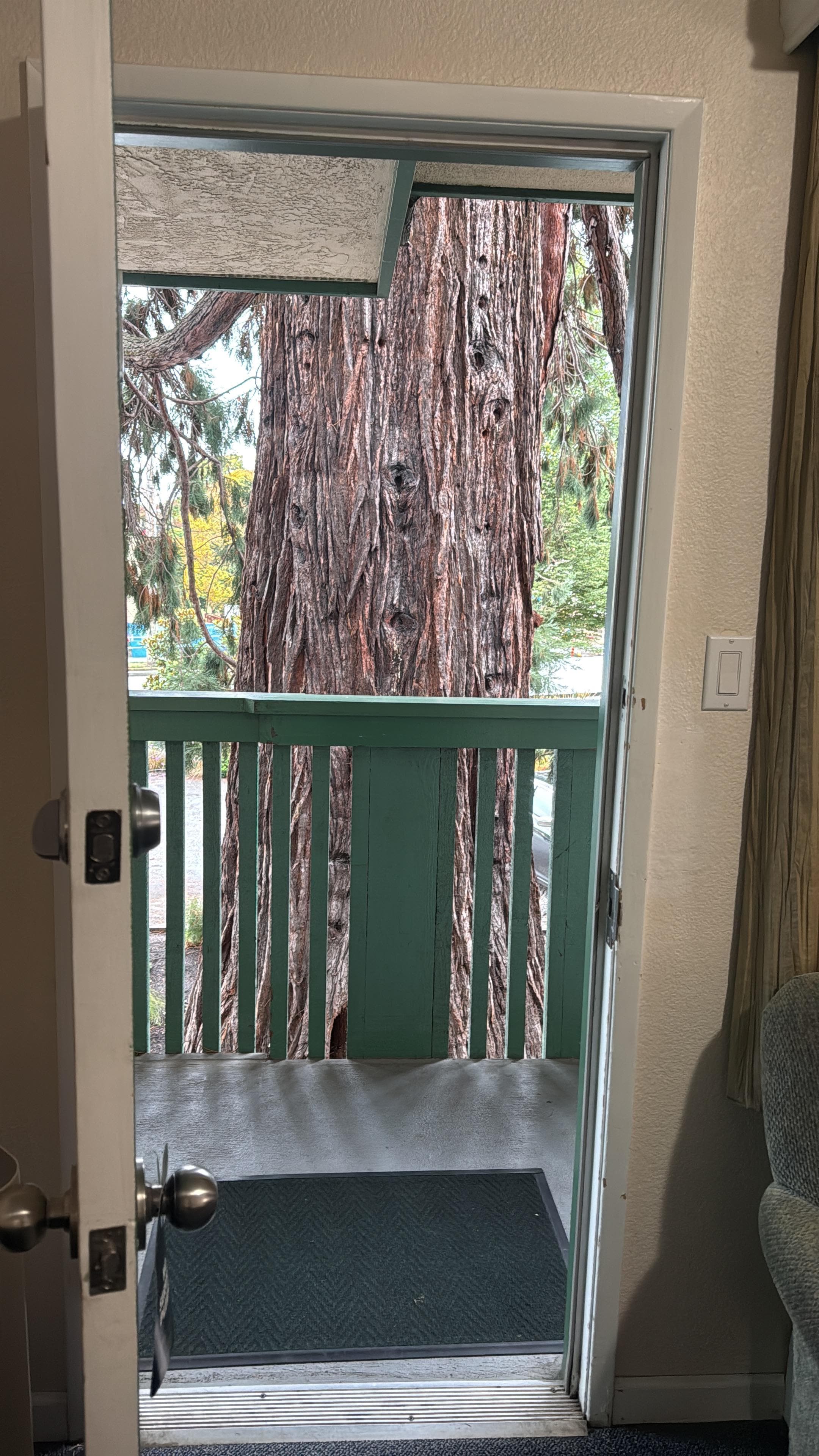 View from the door to the room